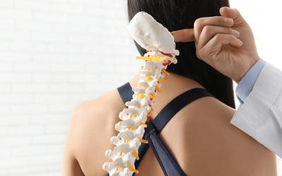 What Exactly Does an Osteopath Do? A Beginner’s Guide